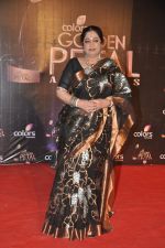 Kiron Rao at Colors Golden Petal Awards 2013 in BKC, Mumbai on 14th Dec 2013